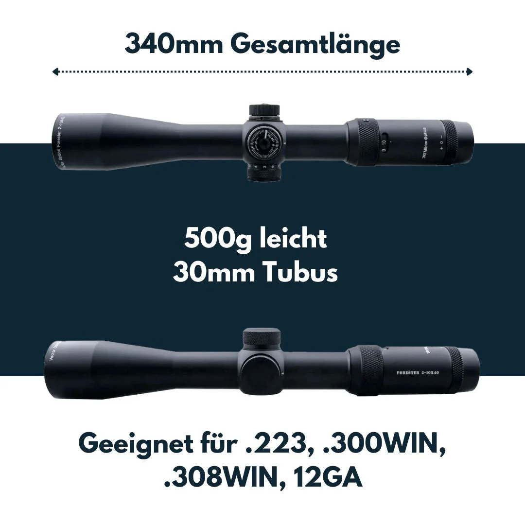 Vorschaubild 5