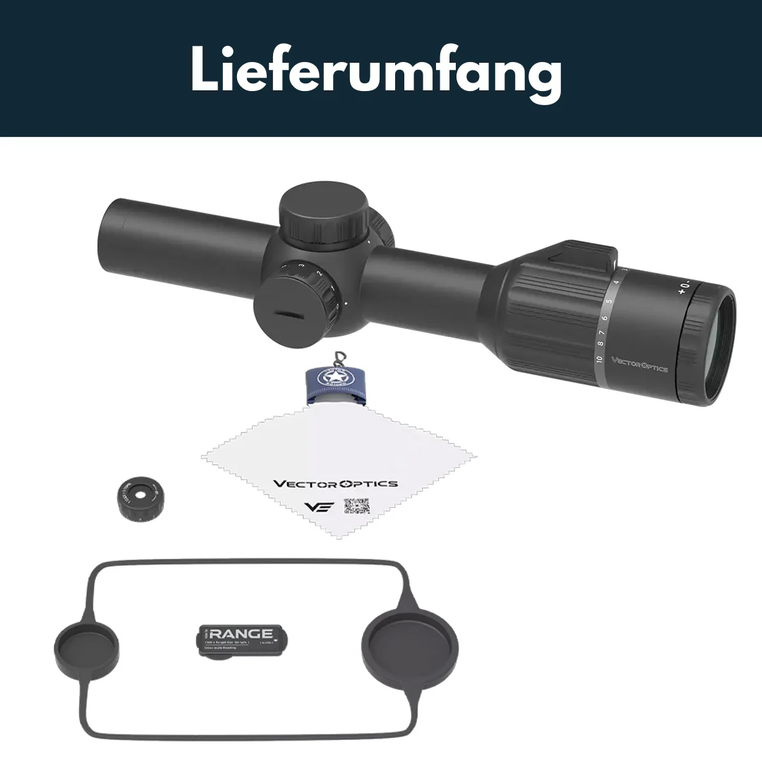 Vorschaubild 7