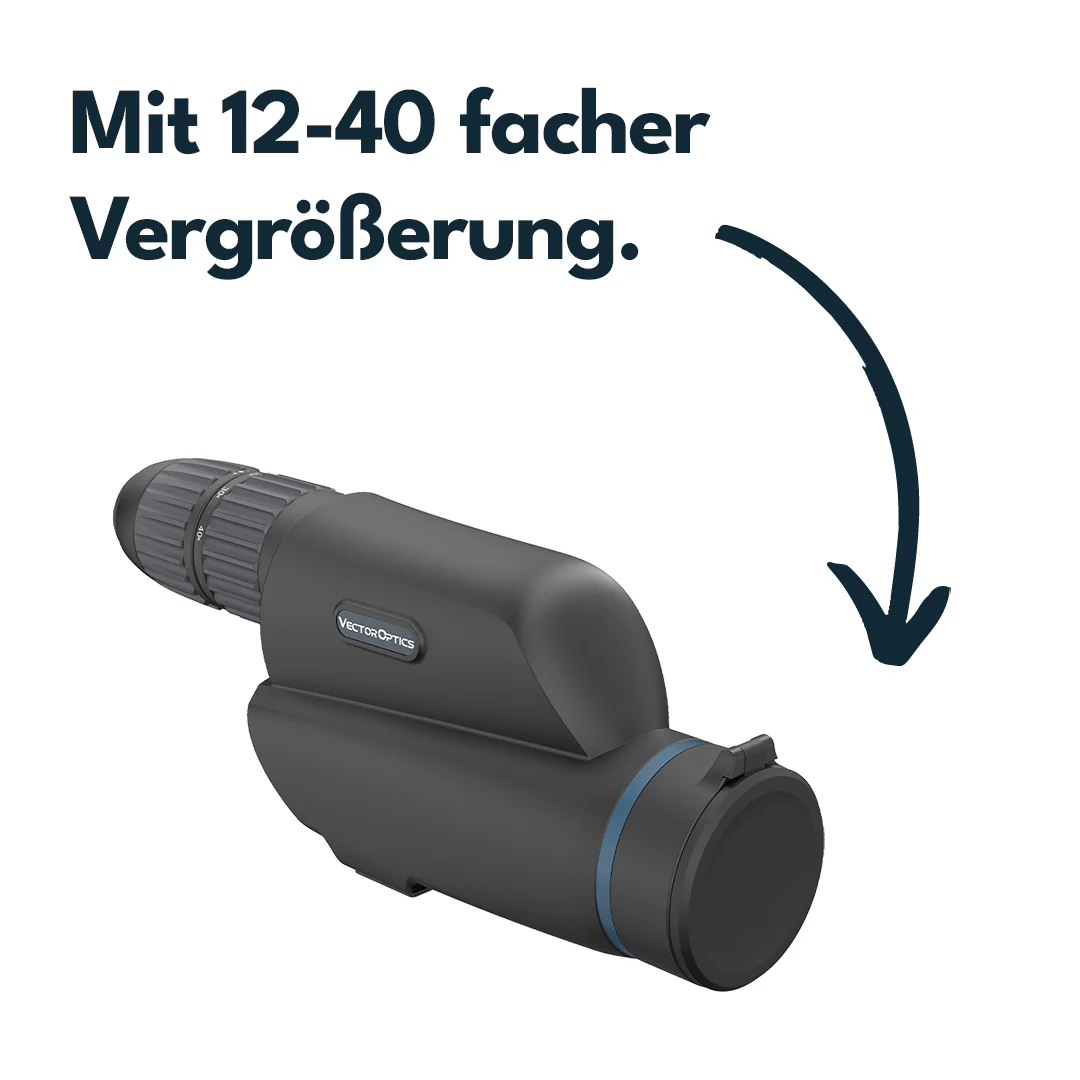 Vorschaubild 5